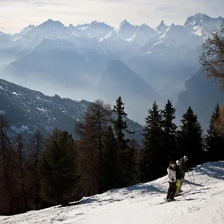 Cozy Will Hill View Veysonnaz