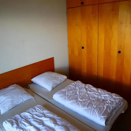 Cozy Will Hill View Veysonnaz