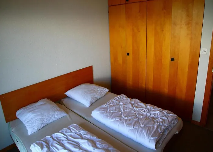 Apartment, 250m From Cable Car Veysonnaz